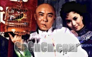 方谬神探在线观看,探案奇才的在线悬疑之旅  第2张